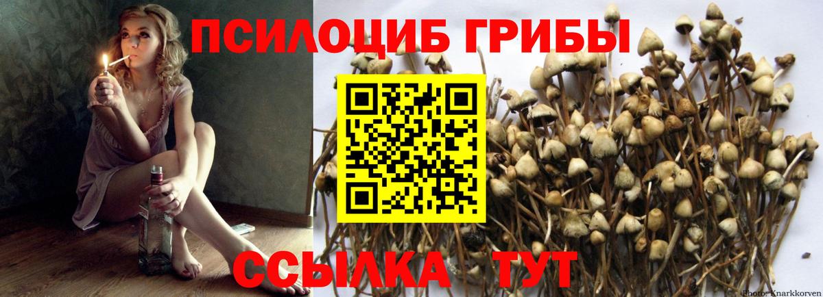 Галлюциногенные грибы GOLDEN TEACHER  Вход с VPN  Жуковский 